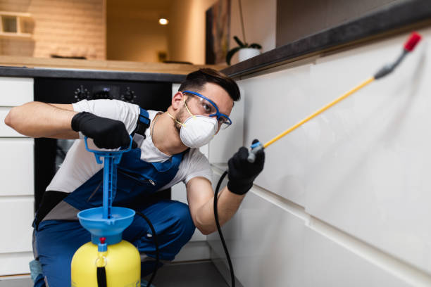 Best Affordable Pest Control Services  in Astia, OR