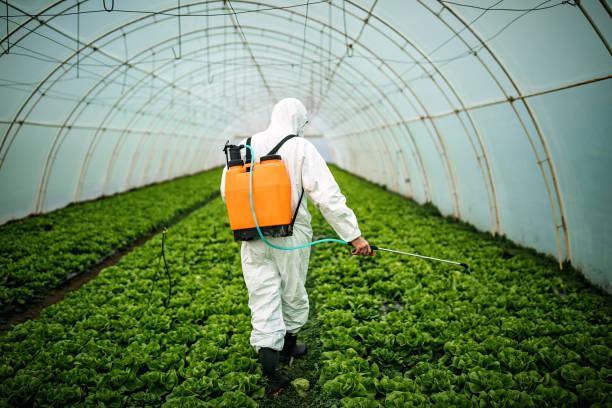 Reliable Astoria, OR Pest Control Solutions