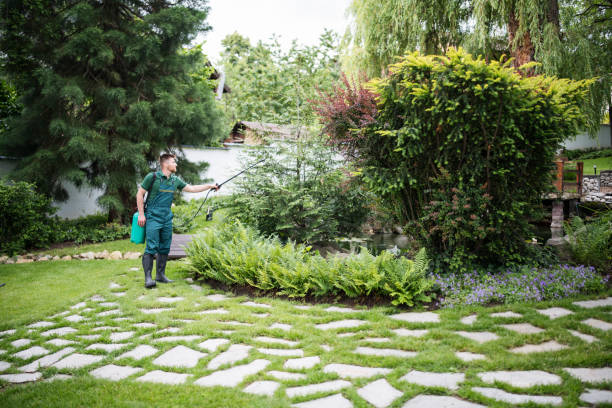 Best Pest Control Near Me in Astoria, OR