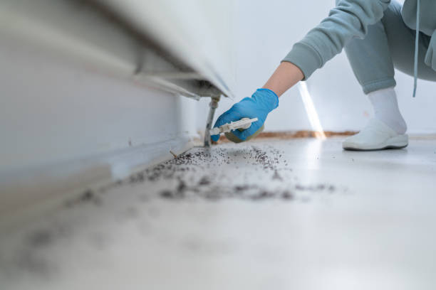 Best Pest Control for Homes  in Astia, OR