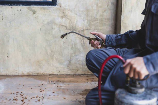 Best Best Pest Control Companies  in Astia, OR