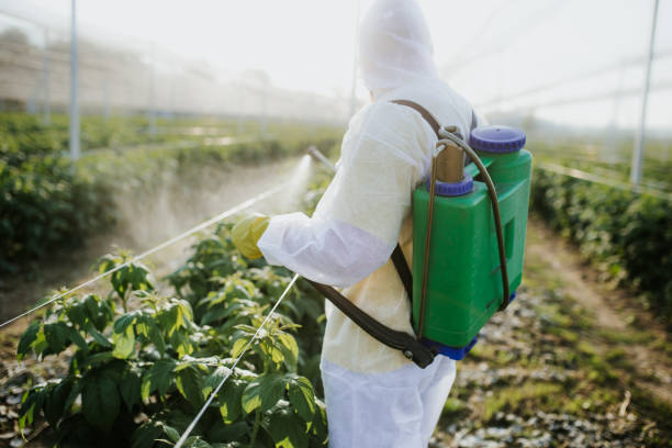 Best Emergency Pest Control  in Astia, OR